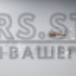 Плафон для камеры Renault (90)