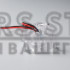 Плафон для камеры Subaru (97)