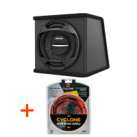 Сабвуфер активний Decker DSW-300